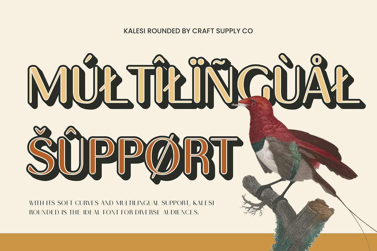 Kalesi Rounded 3D, a Sans Serif Font by Craft Supply Co. (Photo 5 of 8)