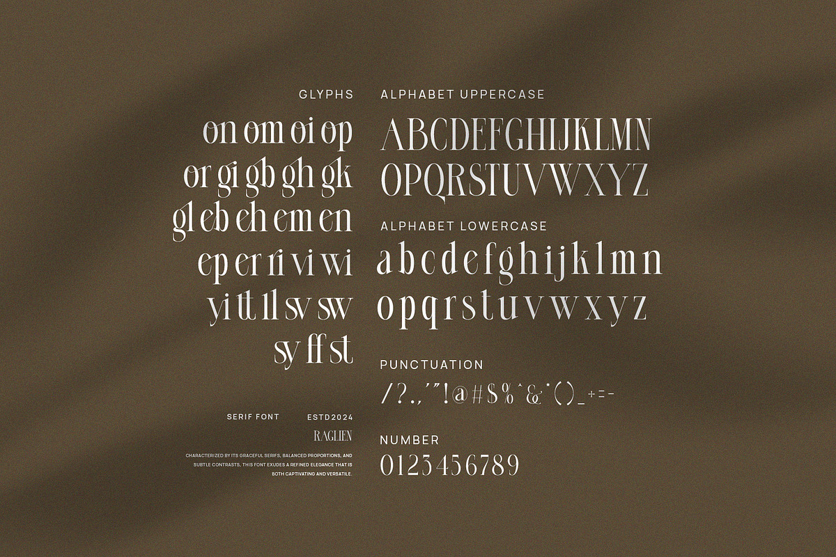 Raglien Modern Serif Font, a Serif Font by Perfectype (Photo 8 of 8)