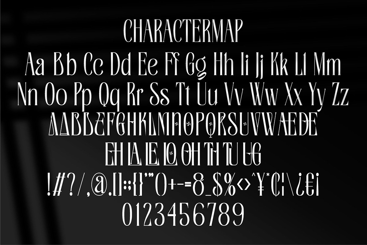 Baquine || Classy Serif Display Font, a Serif Font by Ermedia Studio (Photo 10 of 10)