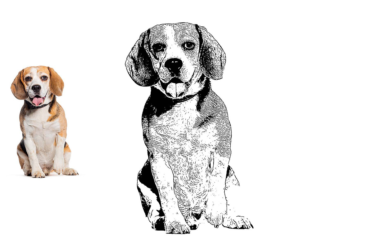 Animal Photo to Tracing, an Action Add-On by MRI STUDIO (Photo 4 of 10)