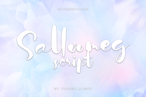 Salloomeg script preview 8