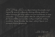 The Poetry Elegant Swash Script Font, a Script Font by AnMark (Thumbnail 3 of 13)