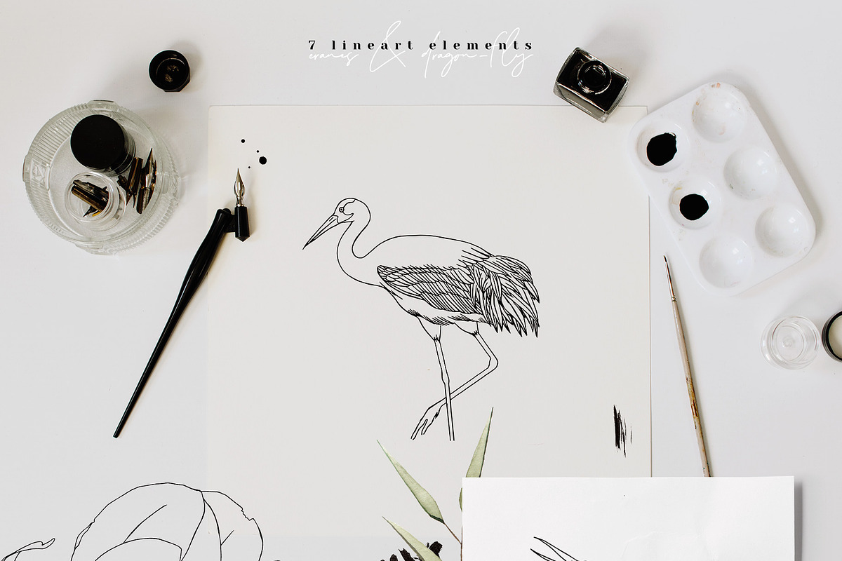 Magnolia & Cranes | Tropical Japan, an Illustration by January Bloom (Photo 12 of 17)