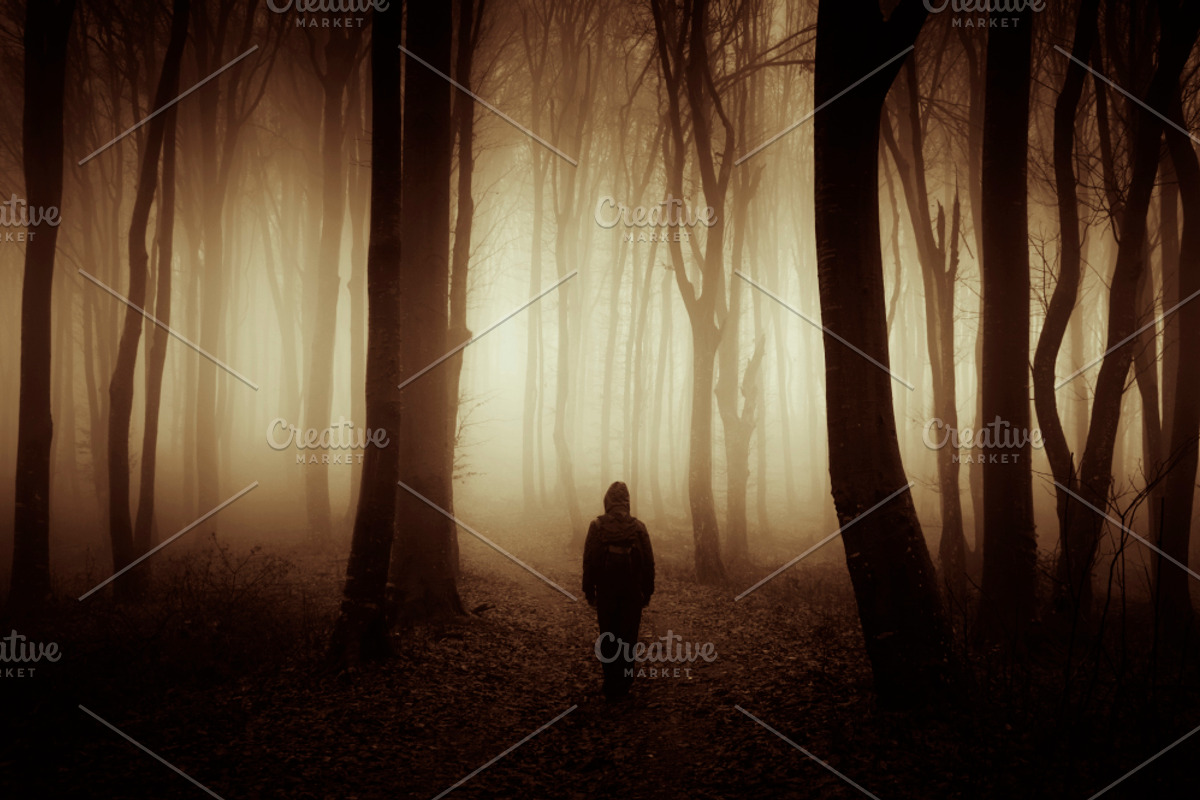 Haunted Halloween Forest Pack 2, a Nature Photo by Atmospheric visuals (Photo 5 of 6)