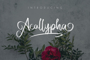 Acallypha - Handwritten Script Font