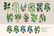 Peperomia - eclectic houseplants, an Illustration by Annakniaz (Thumbnail 5 of 14)