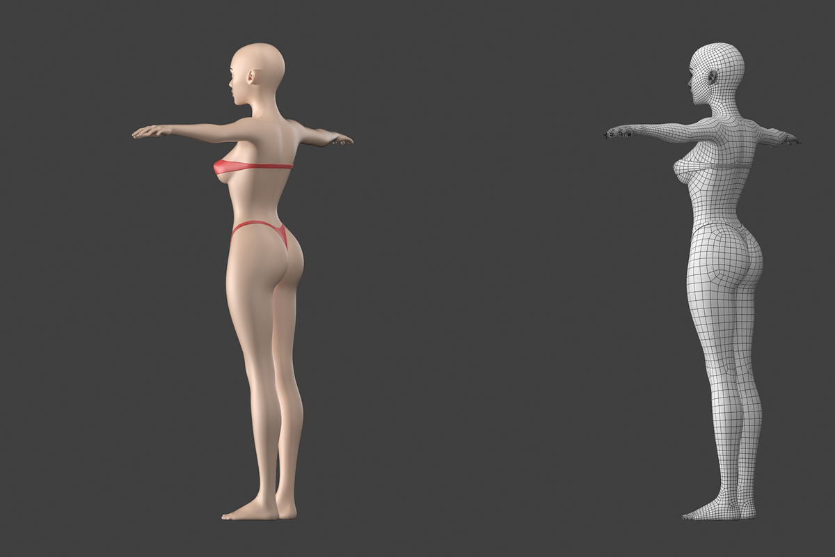 Stylized Female 01 T-Pose Base Mesh, a Characters & Person 3D Model by VK Studio (Photo 8 of 28)