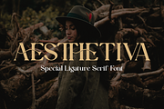 Aesthetiva - Elegant Serif Font, a Serif Font by RockboyStd (Thumbnail 1 of 12)