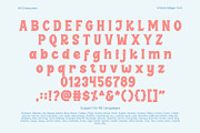 Vintale Balger, a Serif Font by yumnatype (Thumbnail 8 of 10)