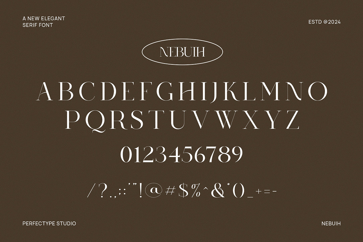 Nebuih Elegant Serif Font Typeface, a Serif Font by Perfectype (Photo 6 of 6)