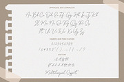 Homeland - Handwritten Script Font, a Handwritten Font by Timurtype (Thumbnail 6 of 7)