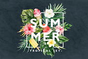 Summer Design Set-Tropical, an Animal Illustration by Graphic Box (Thumbnail 7 of 9)