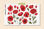 Flowers Poppies. Sketch vector, a Decorative Illustration by irina.vaneeva (Thumbnail 3 of 4)