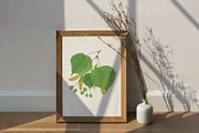Linden tree leaves and seeds, a Pattern Graphic by Contes_de_fée (Thumbnail 9 of 9)