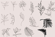 Minimalistic botanica, an Object Graphic by Mii Lab (Thumbnail 14 of 14)