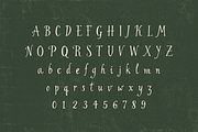 Westfalia, a Serif Font by Bruised Goods (Thumbnail 6 of 13)