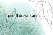 Pencil drawn cannabis, a Healthcare Illustration by AlenaO (Thumbnail 1 of 9)