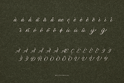 Carmeline Elegance Script Font, a Script Font by Rasio Studio (Thumbnail 6 of 10)