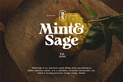 Analogue - Humanist Retro Serif, a Serif Font by Harmonais Visual (Thumbnail 11 of 29)