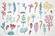 Dumbo Octopus Clipart and Patterns, an Animal Illustration by LukaJreym (Thumbnail 3 of 9)