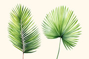 Tropical leaves patterns and element, a Decorative Illustration by irina.vaneeva (Thumbnail 7 of 11)