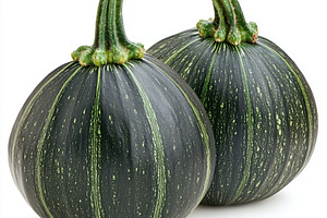 Two fresh vegetable marrow, isolated, a Food & Drink Photo by Pixeness Studio
