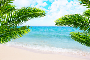 Tropical beach and palm trees.