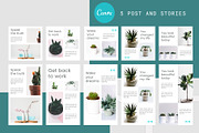 Canva Instagram Template Plant, a Social Media Template by Lythcreative (Thumbnail 4 of 6)