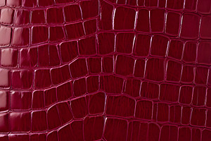 Rich burgundy crocodile leather texture with intricate patterns showcasing luxu