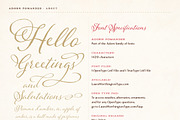 Adorn Collection, a Sans Serif Font by Laura Worthington (Thumbnail 11 of 62)