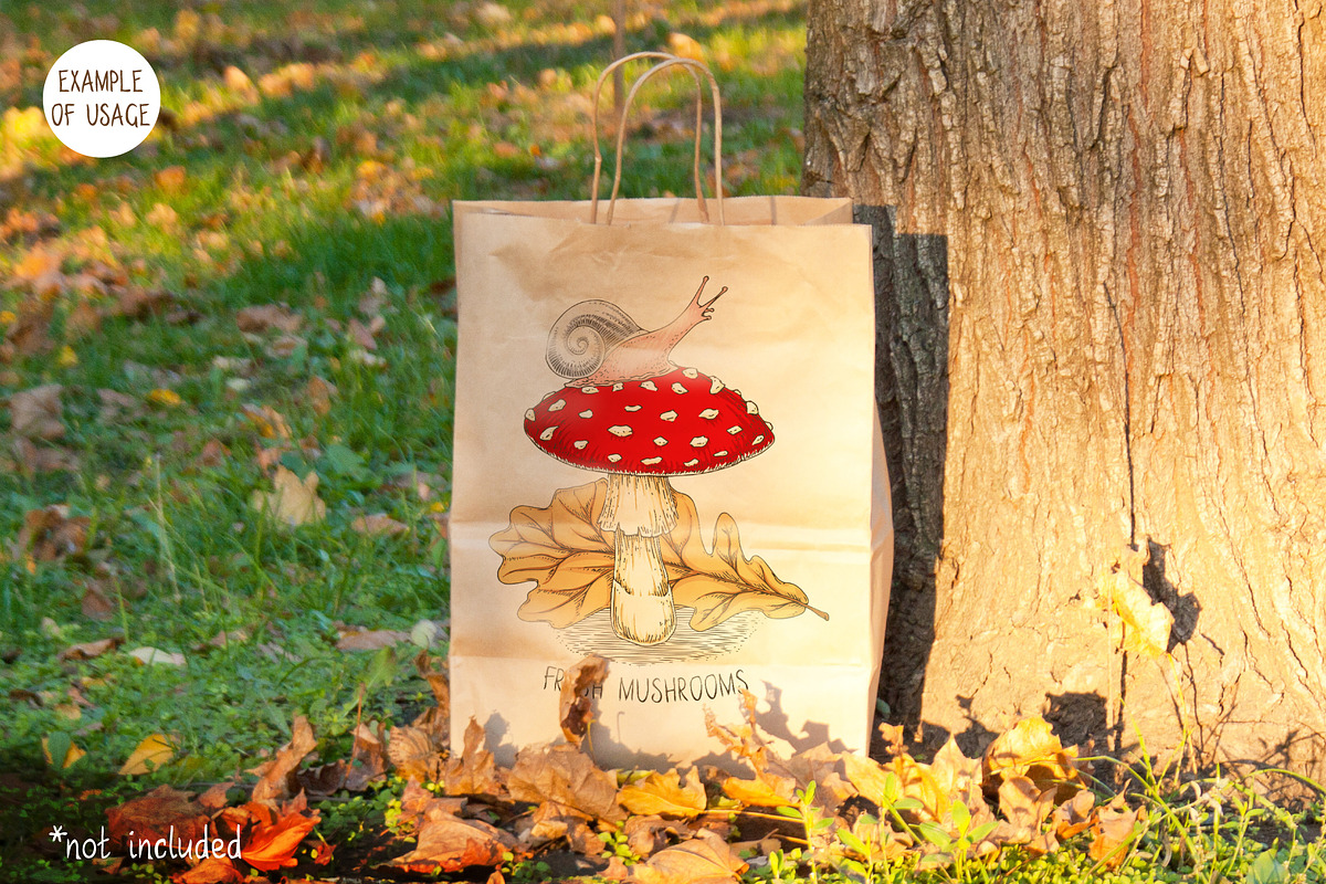 Autumn Forest Elements Collection, an Object Graphic by DeepFuze (Photo 3 of 5)