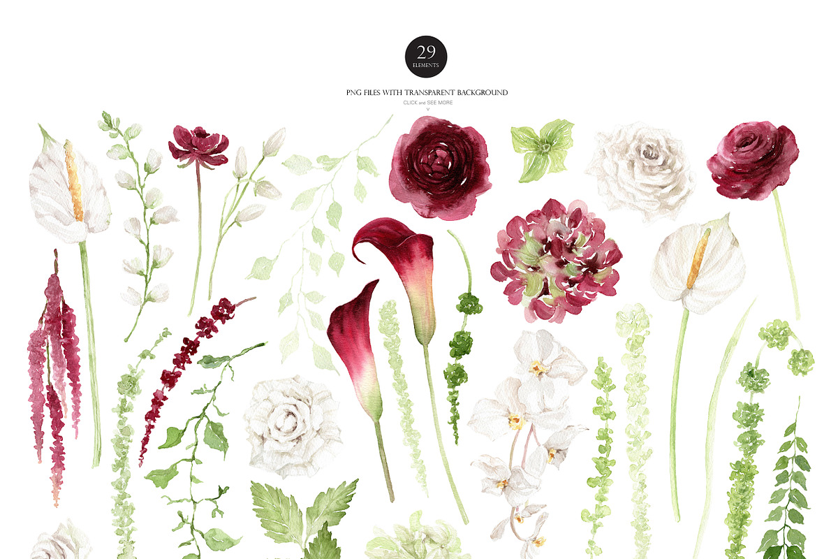 Watercolor Flower- AMARANTHUS, a Decorative Illustration by Beigetime (Photo 3 of 15)