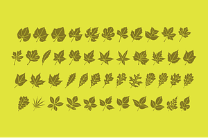 Leaf Assortment Font