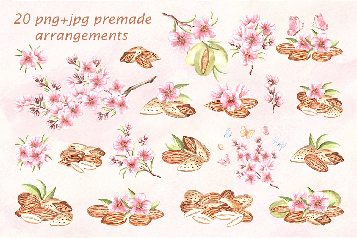Blossoming Almond watercolor clipart, a Food Illustration by susie-p-art (Photo 3 of 18)