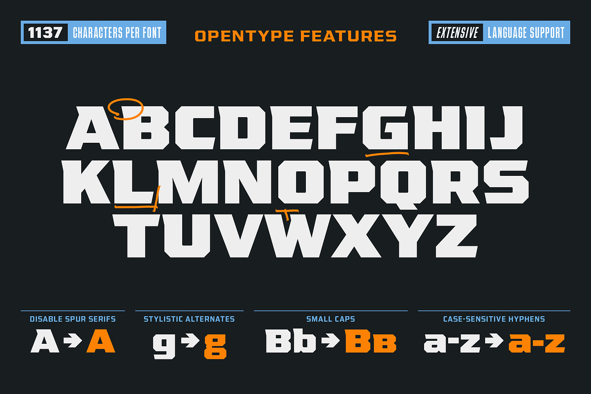 VT League Pro, a Sans Serif Font by VarsityType® (Photo 5 of 6)