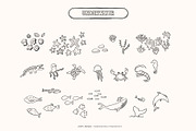 Travel Map Creator Collection, an Illustration by Happy Monday Creative (Thumbnail 8 of 22)