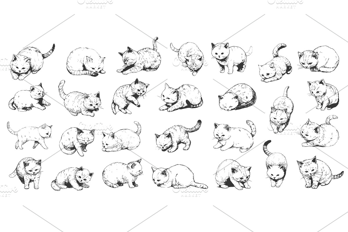 Sketch cats. Cute playful kitten, an Animal Illustration by Stock-Smart-Start
