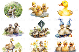 Cute Fluffy Watercolor Duckling