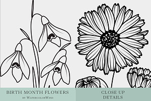 Outline Floral Vector Bundle Clipart