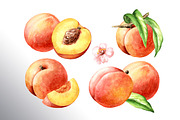Honey Peaches. Original Watercolor, a Food Illustration by Daria Ustiugova (Thumbnail 3 of 21)