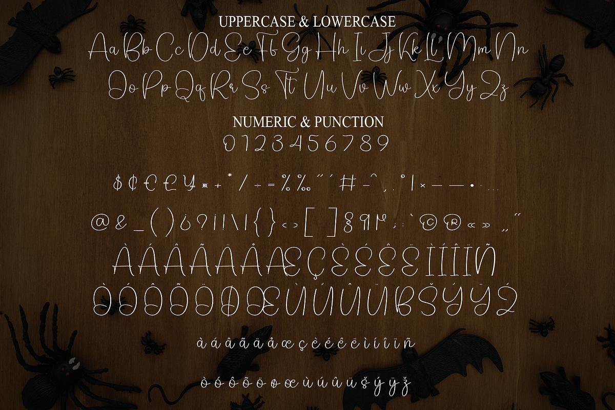 Spooky Vintage | Script Font, a Handwritten Font by Scratchones (Photo 7 of 9)