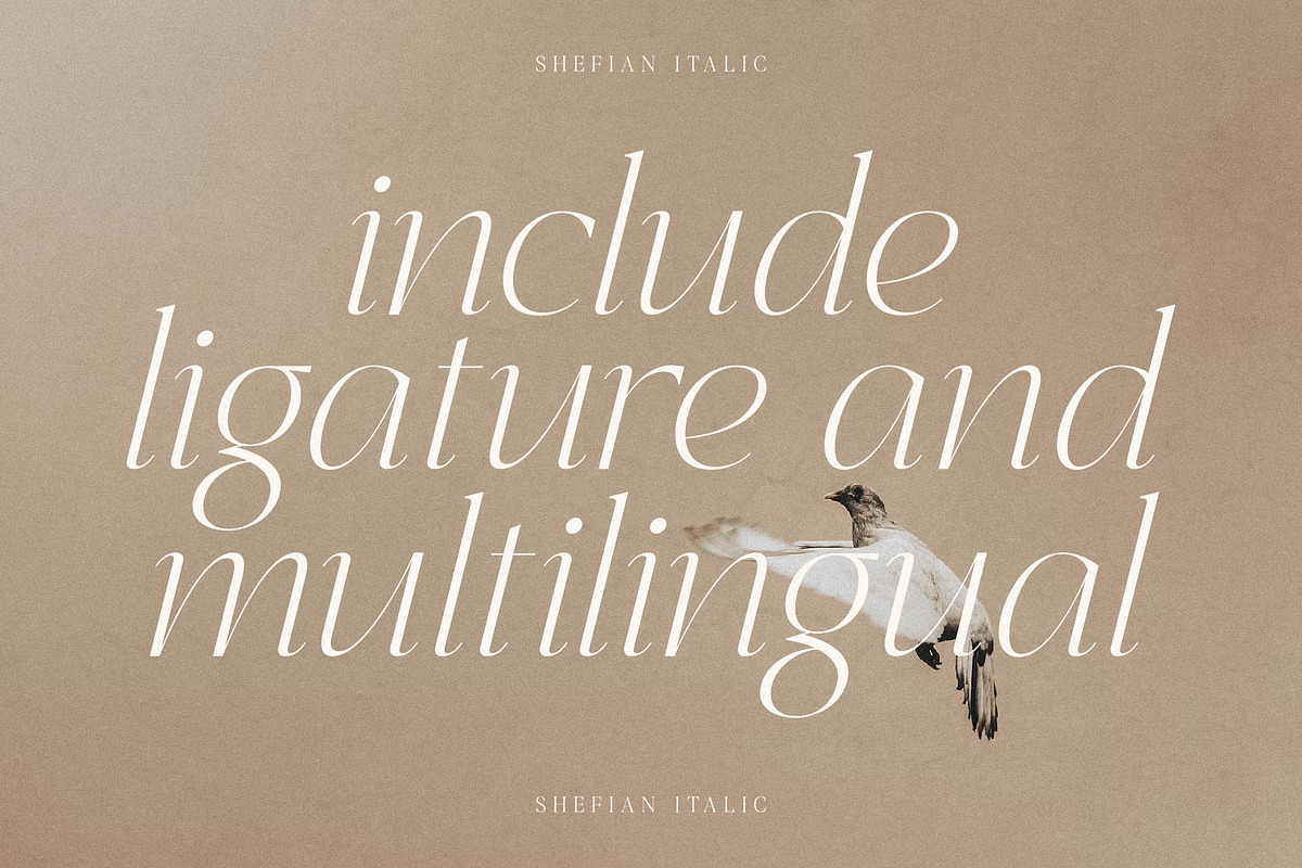 Shefian Modern Serif Font, a Serif Font by Storytype Studio (Photo 2 of 15)
