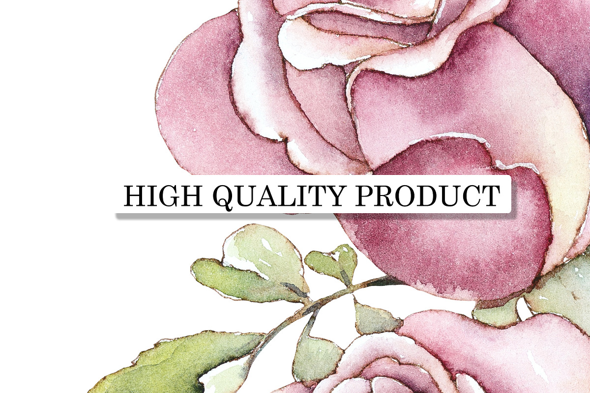Watercolor Pink Roses, a Decorative Illustration by Budogoshch (Photo 5 of 5)