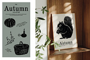 The Autumn Collection Illustrations, an Illustration by dicreate (Thumbnail 14 of 15)