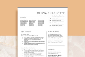Professional Resume Template Word