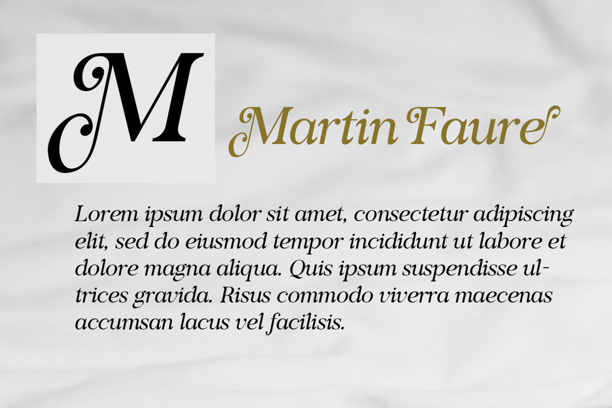 Voster Noise, a Serif Font by Propertype (Photo 5 of 10)