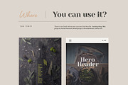 PACK&FOOD Creator - top view, a Packaging Mockup by Creatoom (Thumbnail 5 of 10)
