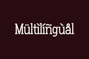 Gluttoner Vintage & Bold Slab Serif, a Serif Font by Lettertype Studio (Thumbnail 13 of 15)