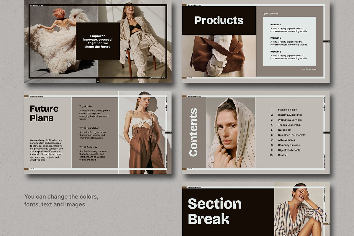 Cynthia Project Proposal Template, a Presentation Template by SlideStation (Photo 2 of 5)