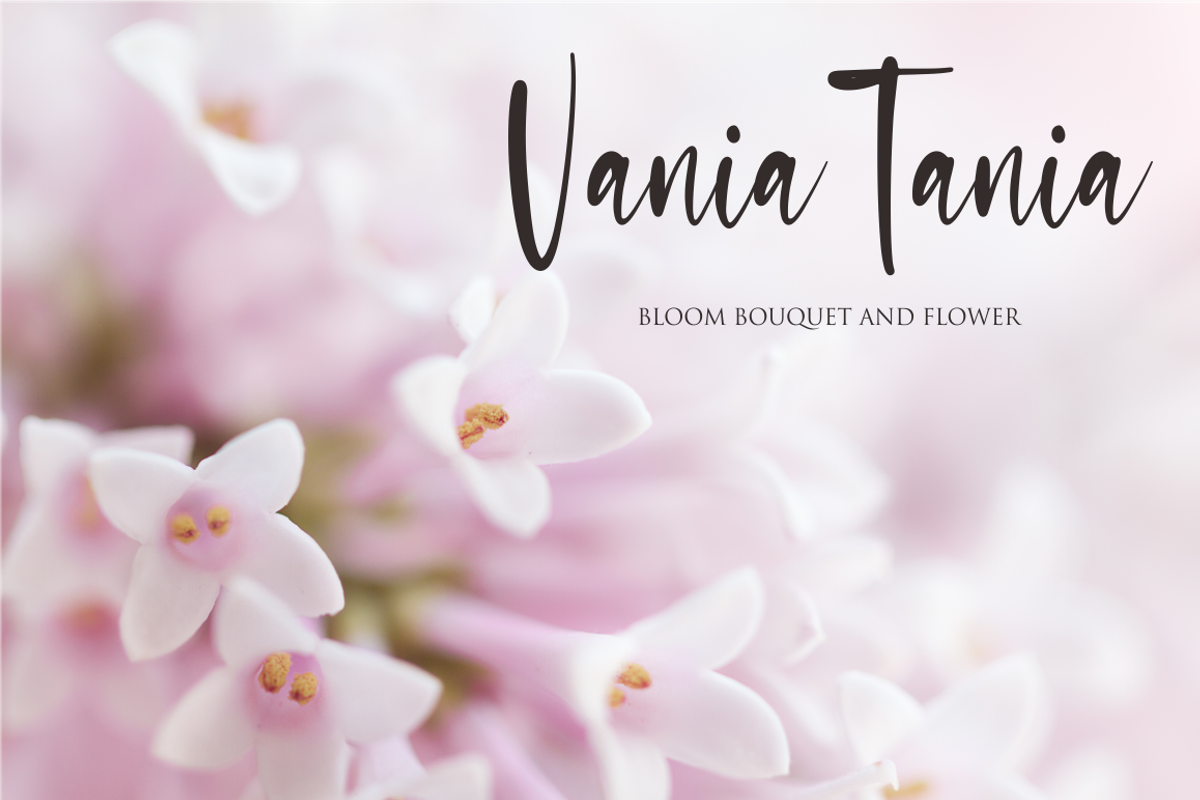 sasa, a Script Font by N (Photo 2 of 10)